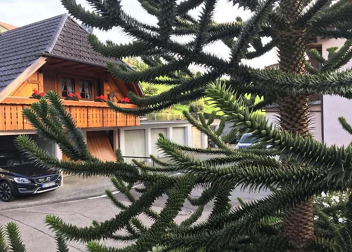 Pension Haus Rose